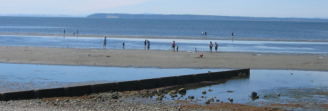 Crescent Beach and Ocean Park